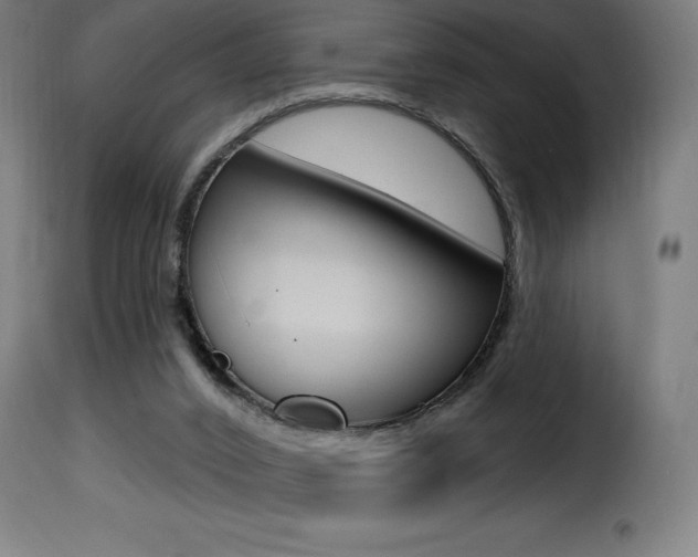 X0000116010016200911191249