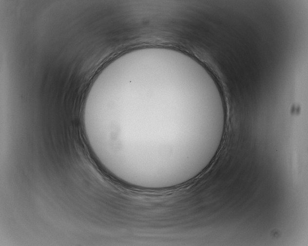 X0000116010021200911191249