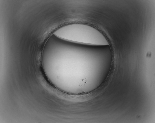 X0000116010023200911191249