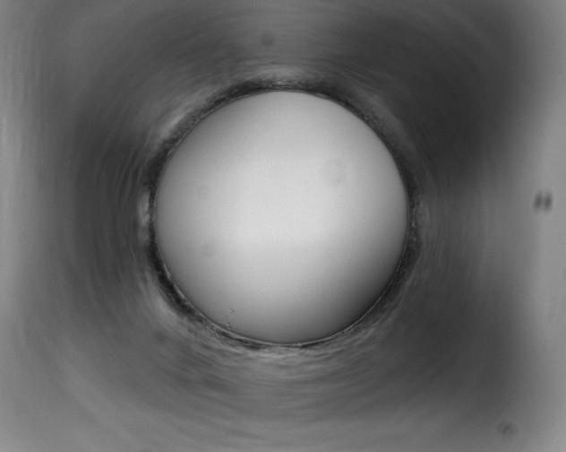 X0000116010024200911191249