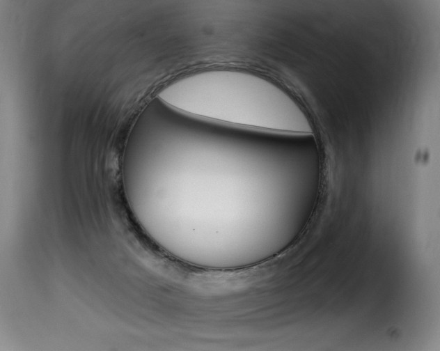 X0000116010025200911191249