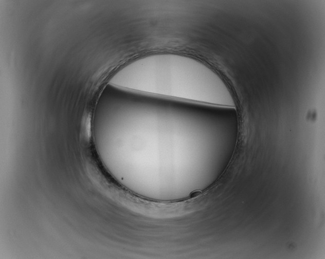 X0000116010027200911191249