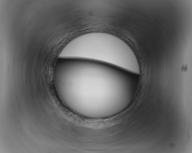 X0000116010029200911191249