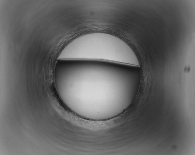 X0000116010031200911191249