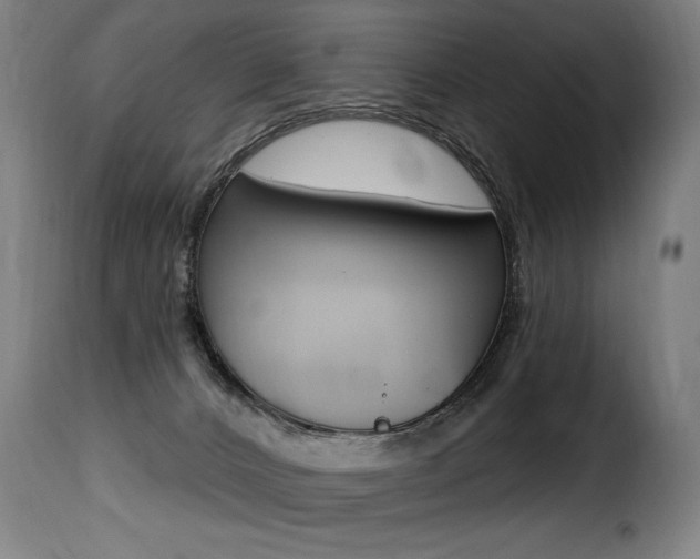 X0000116010032200911191249