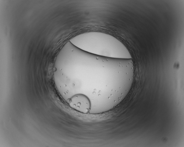 X0000116010034200911191249