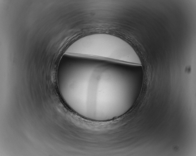 X0000116010035200911191248