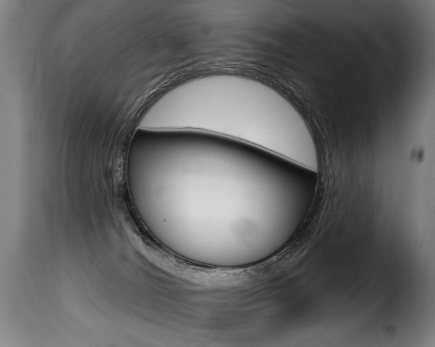 X0000116010036200911191248