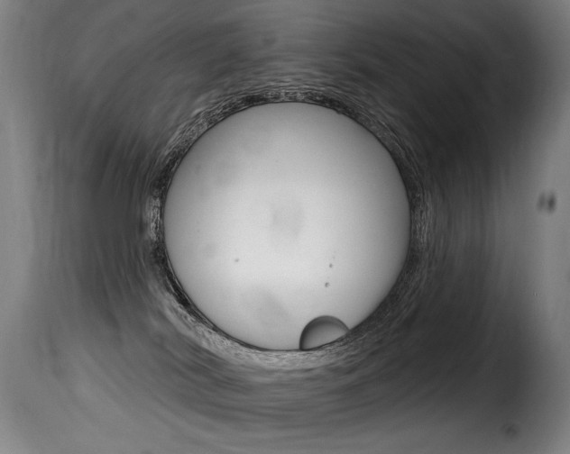 X0000116010038200911191248