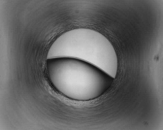 X0000116010039200911191248