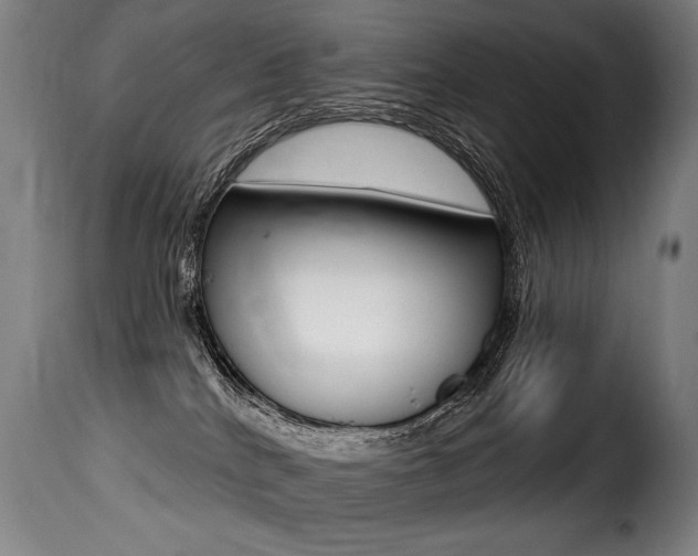 X0000116010040200911191248