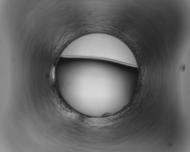 X0000116010041200911191248