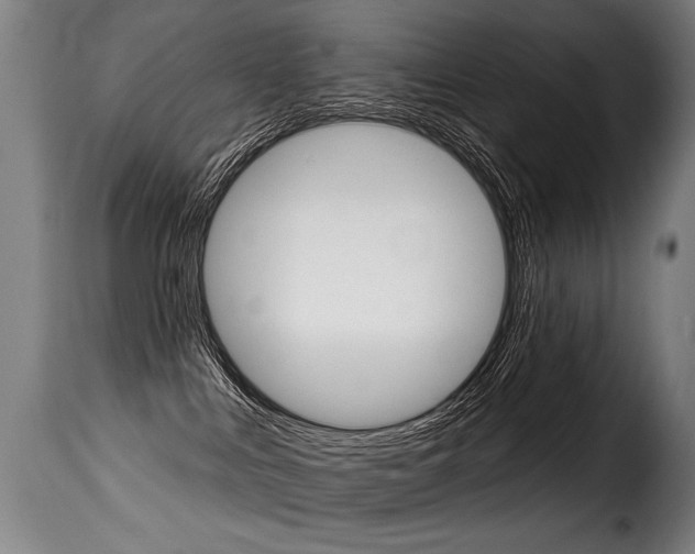 X0000116010043200911191248