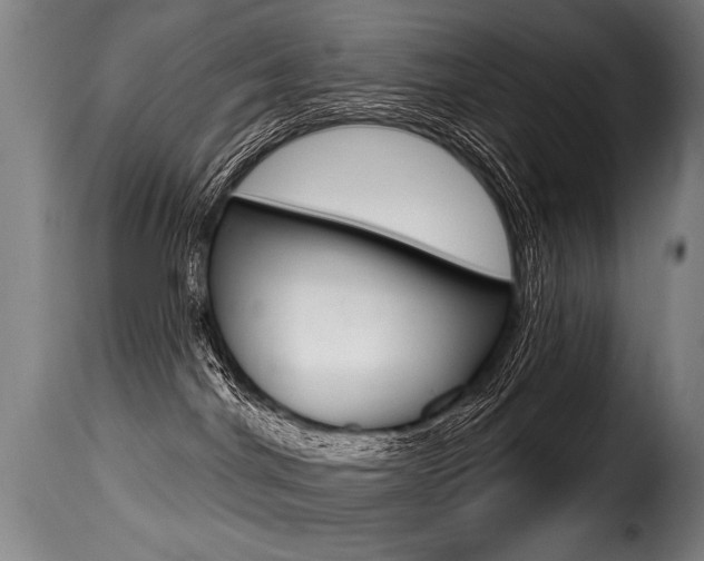 X0000116010044200911191248