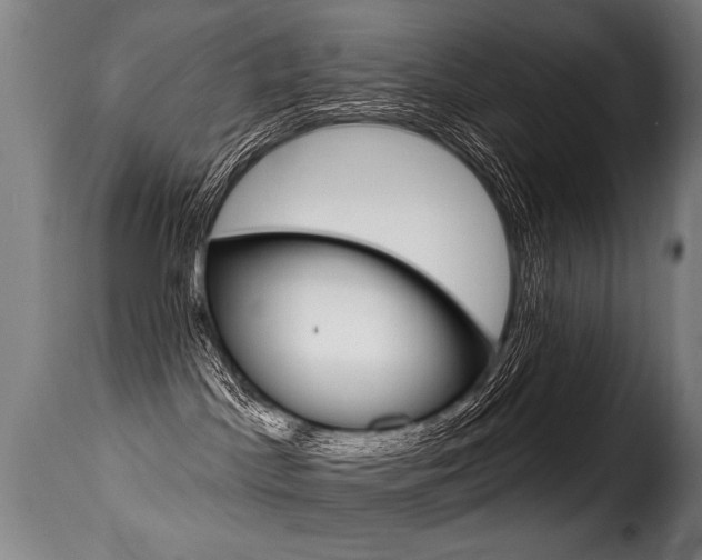 X0000116010045200911191248
