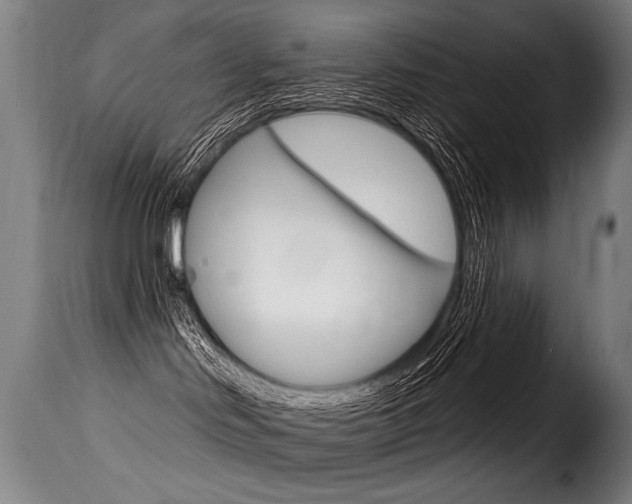 X0000116010046200911191248