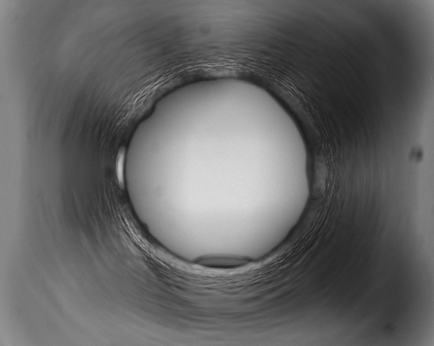 X0000116010047200911191248