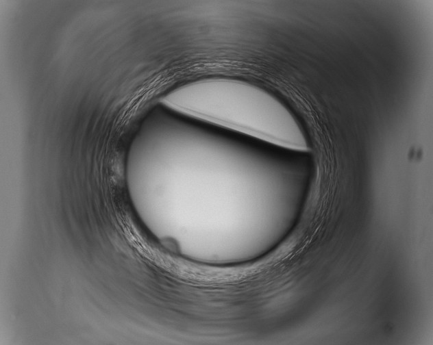 X0000116010048200911191248