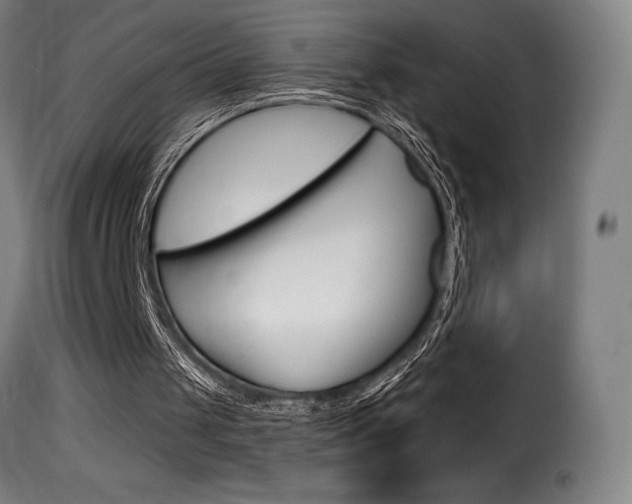 X0000116010049200911191248