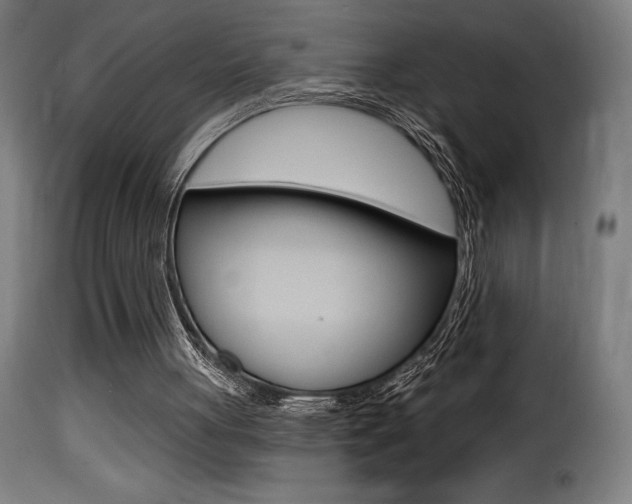 X0000116010051200911191248