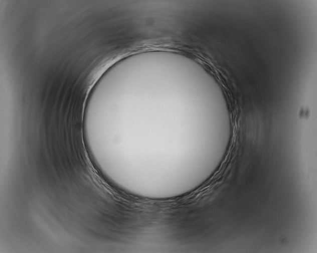 X0000116010052200911191248