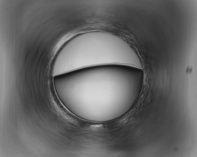 X0000116010054200911191248