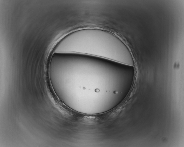 X0000116010055200911191248