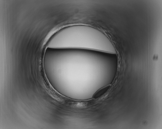 X0000116010056200911191248