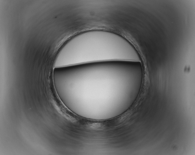 X0000116010058200911191248