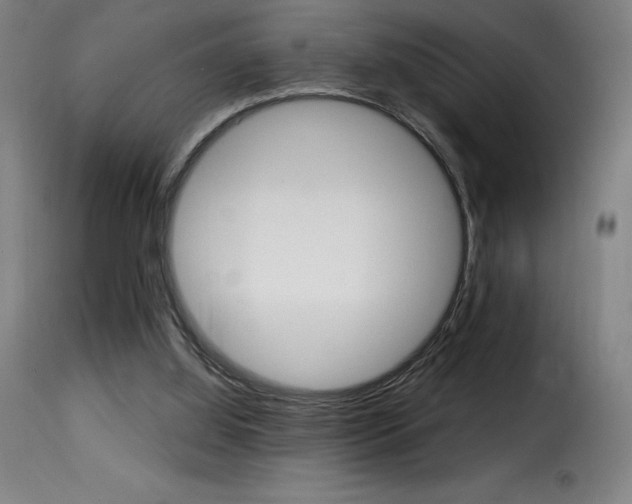 X0000116010060200911191248