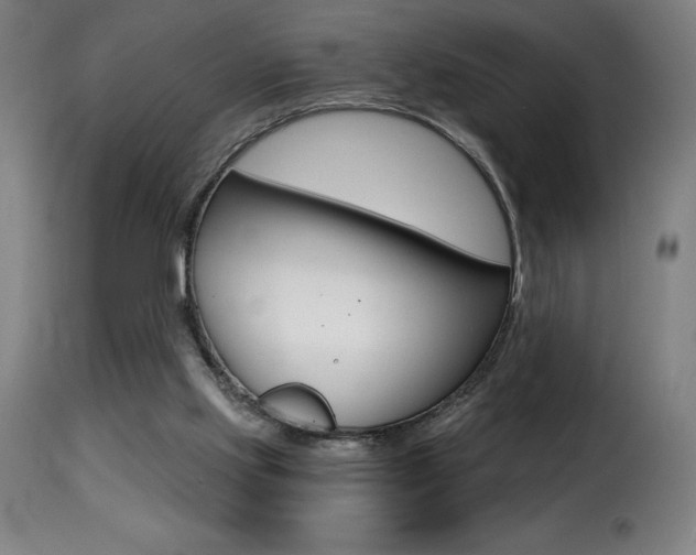 X0000116010061200911191248