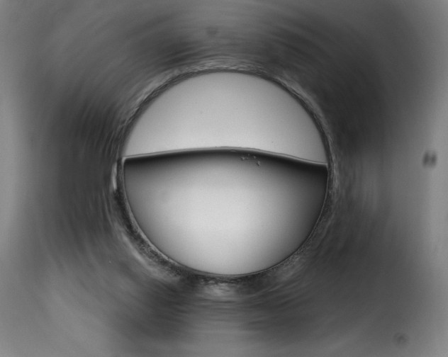 X0000116010062200911191248
