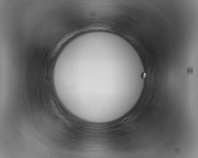 X0000116010064200911191248
