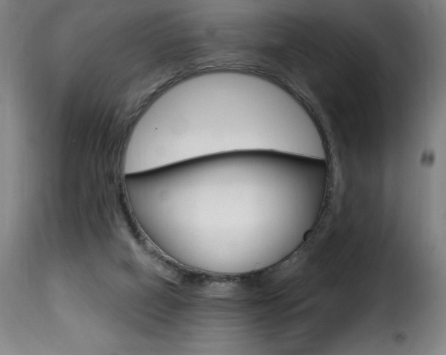 X0000116010066200911191248