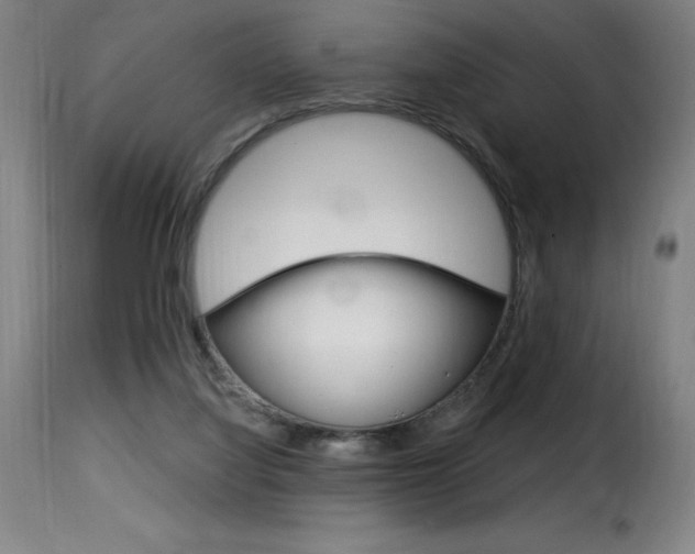 X0000116010068200911191248