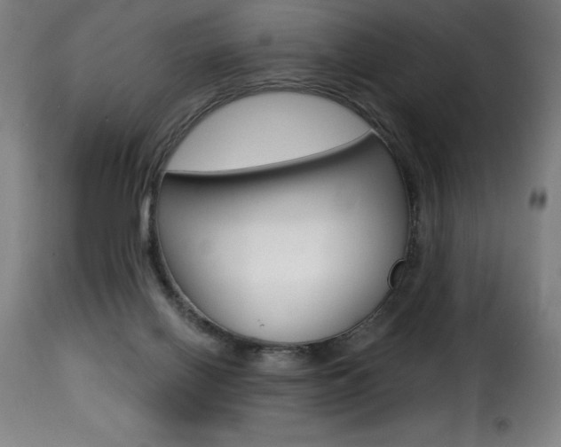 X0000116010070200911191248