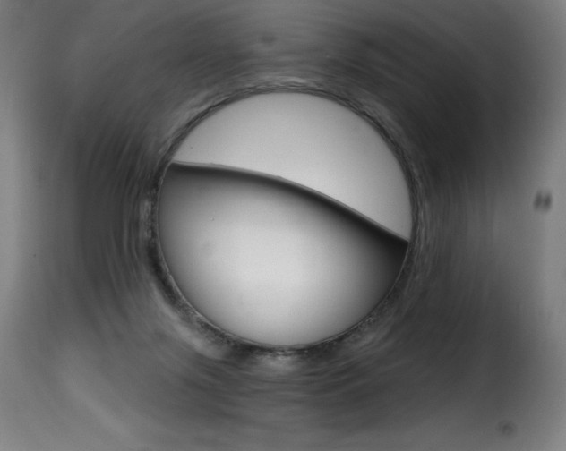 X0000116010071200911191248