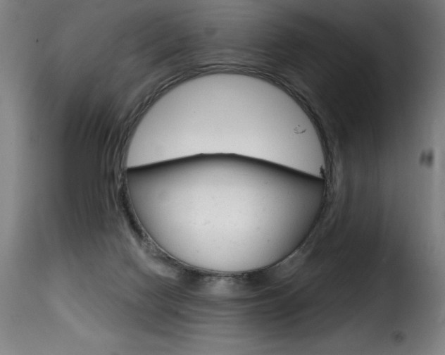 X0000116010074200911191248
