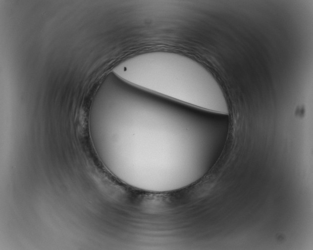 X0000116010077200911191248