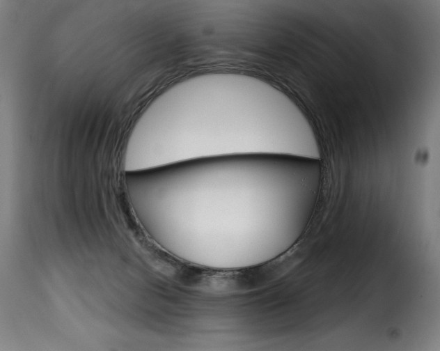 X0000116010078200911191248