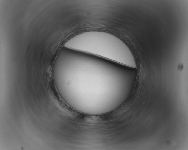 X0000116010079200911191248