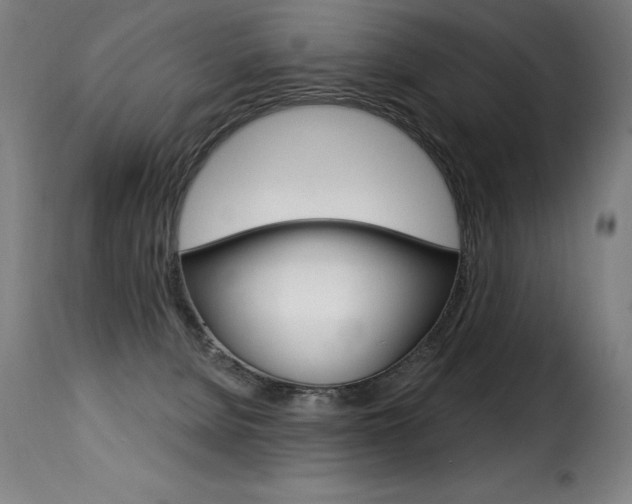X0000116010080200911191248