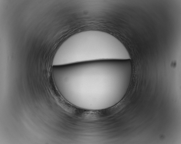 X0000116010082200911191248