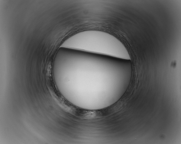 X0000116010083200911191248