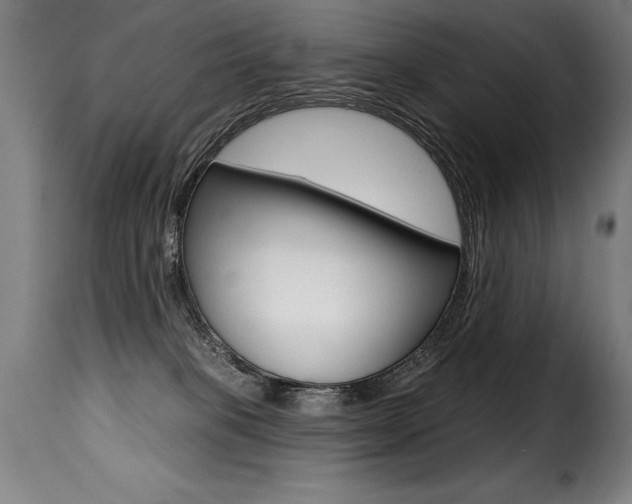 X0000116010085200911191248