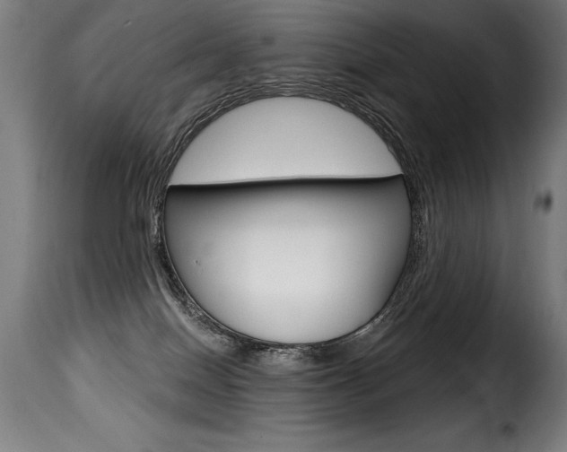 X0000116010086200911191248