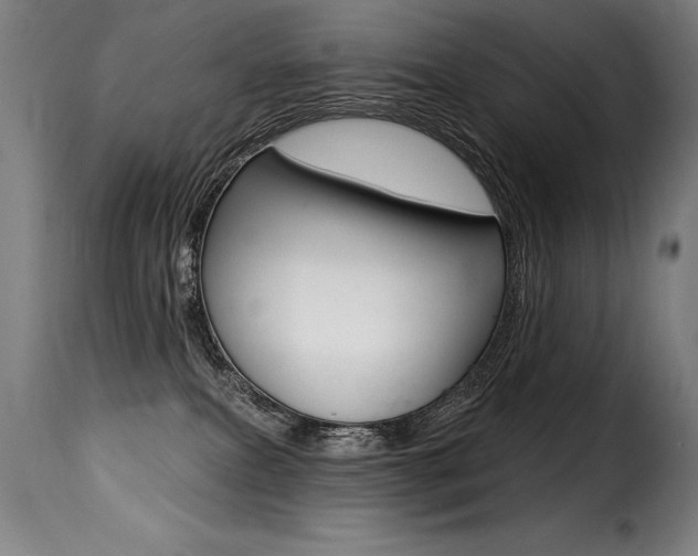 X0000116010087200911191248