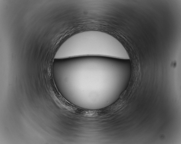 X0000116010088200911191248