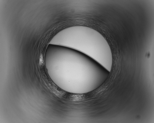 X0000116010089200911191248
