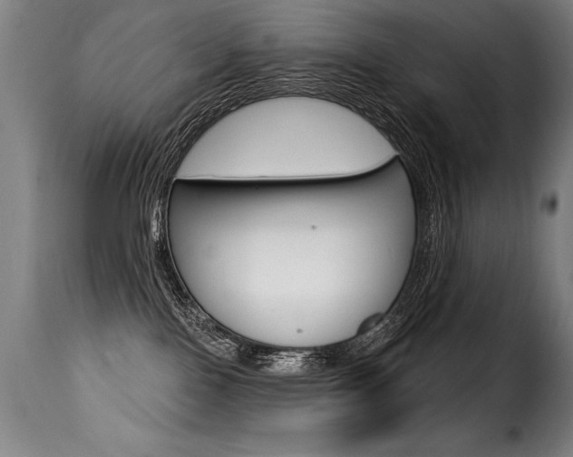 X0000116010090200911191248